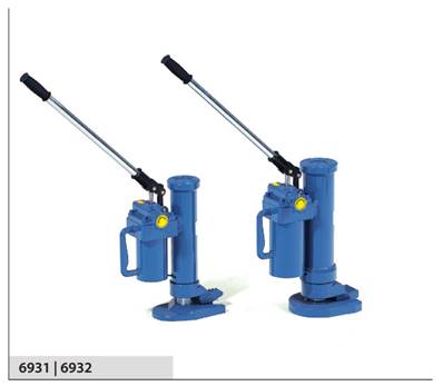 Cric 6931